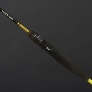 CASSTAR GC-S
